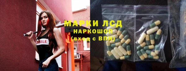 спиды Каменногорск