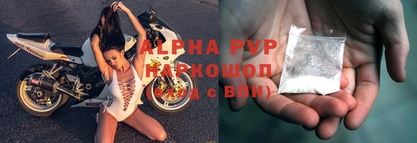 винт Каменка