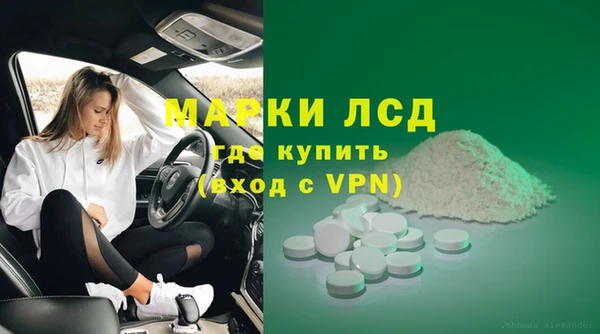 винт Каменка
