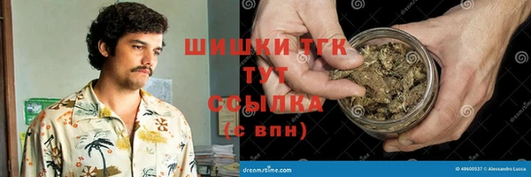 спиды Каменногорск