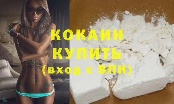 спиды Каменногорск