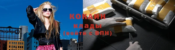 винт Каменка