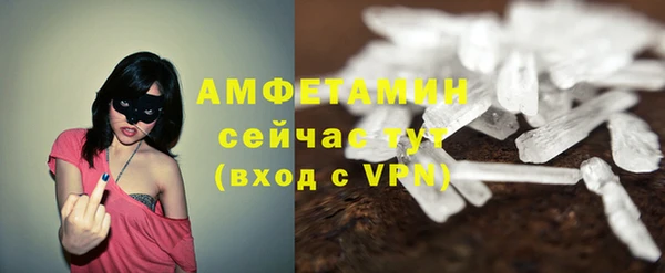 винт Каменка