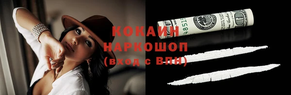 винт Каменка