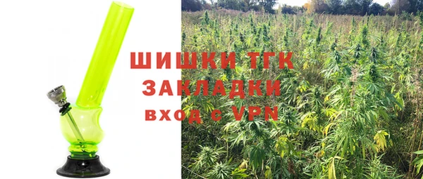 винт Каменка