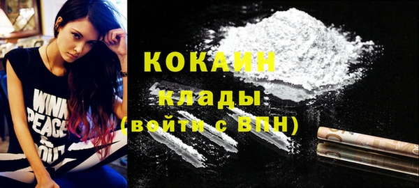 спиды Каменногорск
