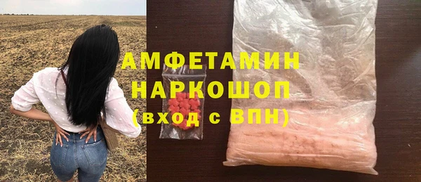 винт Каменка