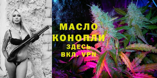 винт Каменка