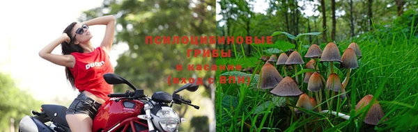 кокаин премиум Каменск-Шахтинский