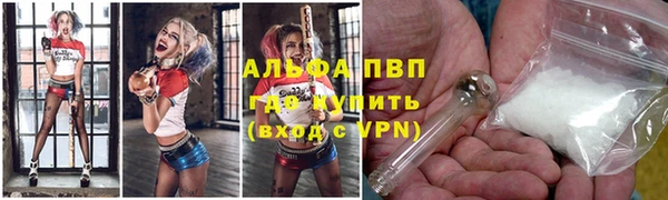 спиды Каменногорск