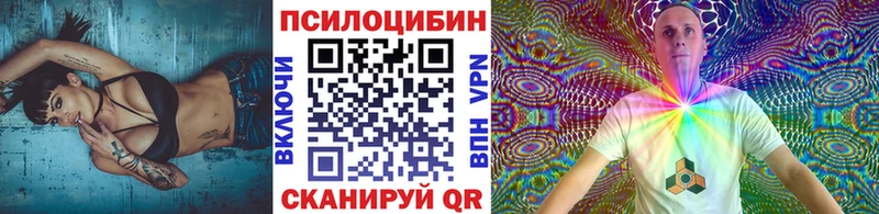 Купить  Закаменск  Псилоцибиновые грибы GOLDEN TEACHER 