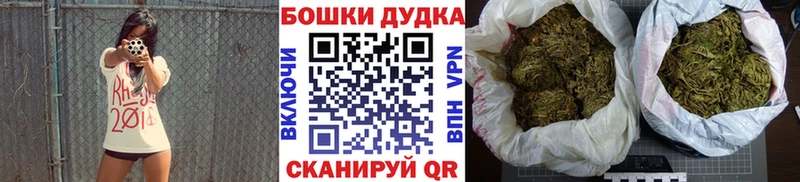 Купить  Закаменск  Конопля план 